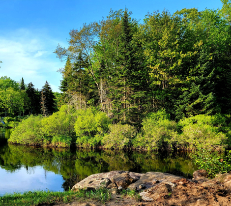 old forge scenery