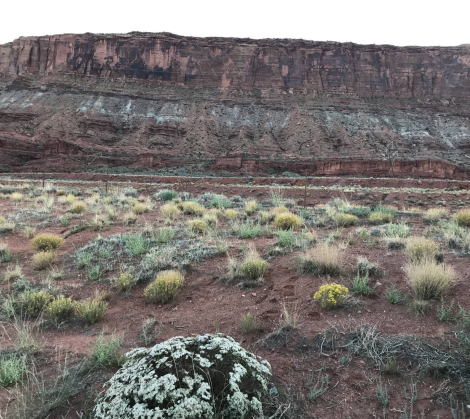 moab scenery