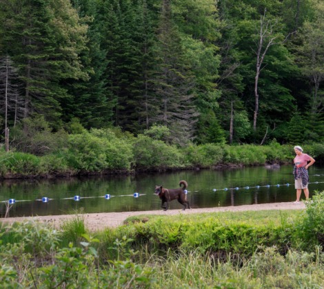 HTR Adirondacks river and pet friendly sandy beach with dog playing
