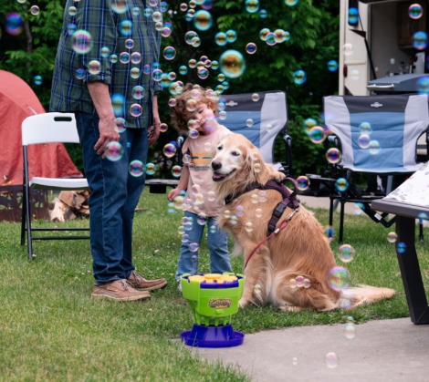 HTR Door County Pet Friendly