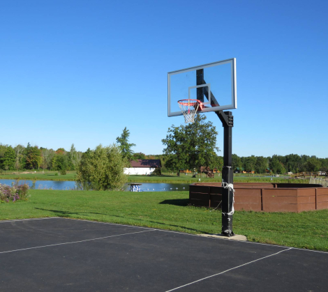 niagara basketball hoop