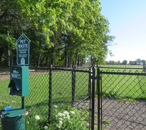 niagara dog park