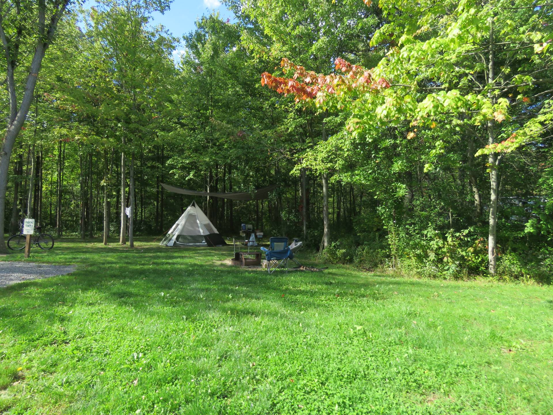 zipline-hut-disco-lights, HTR Niagara