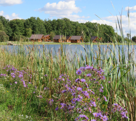 niagara cabins