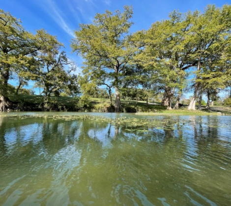 kerrville scenery