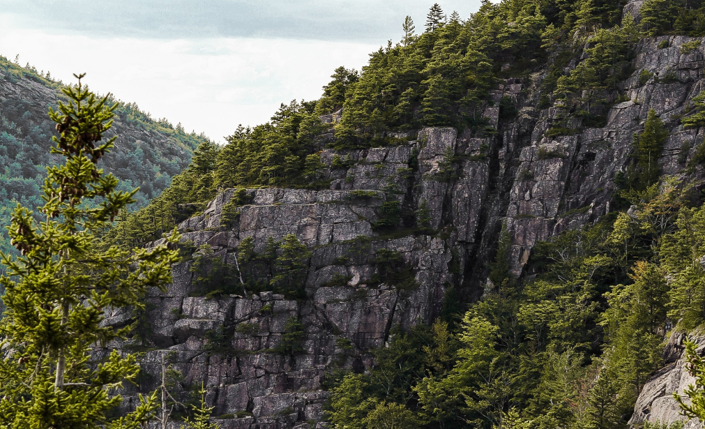 Acadia
