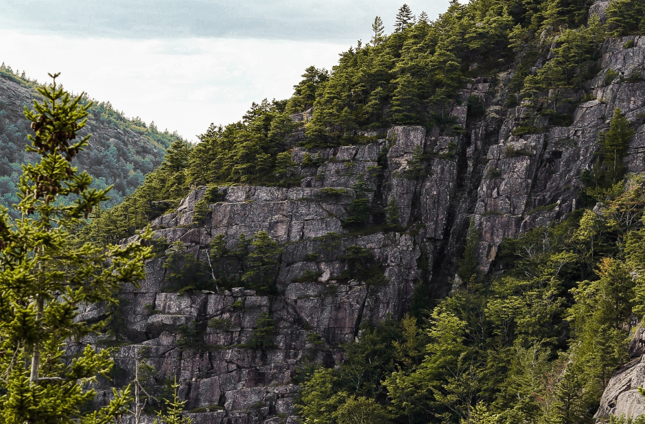 Acadia