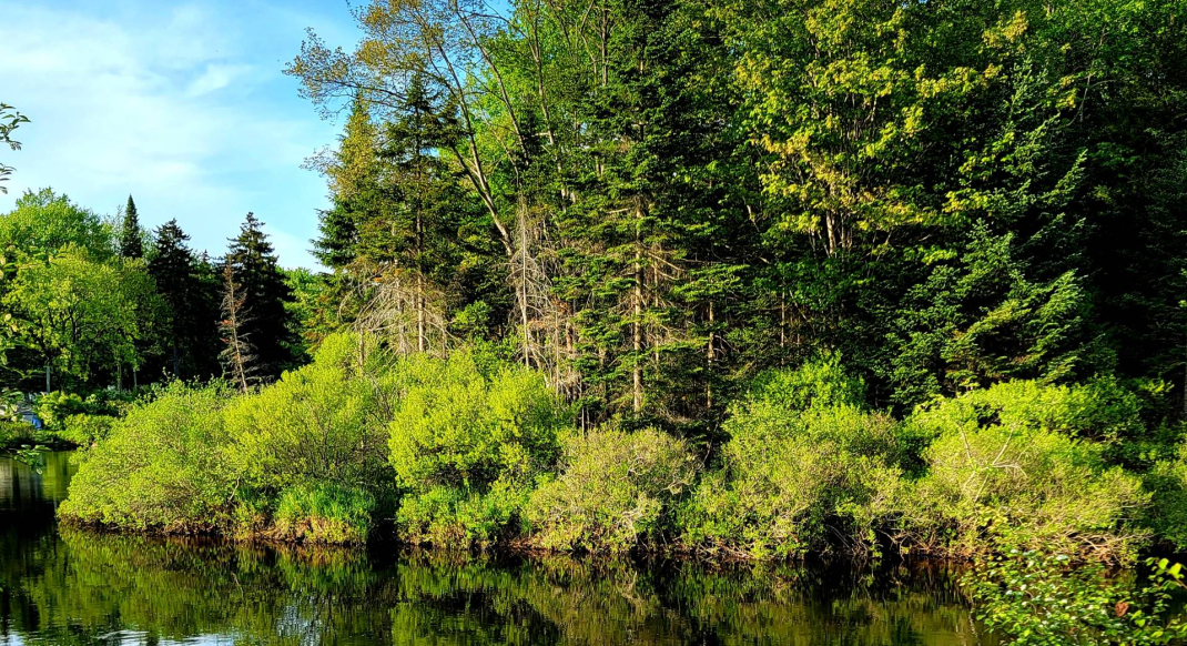 Old Forge - Waterfront Cabins