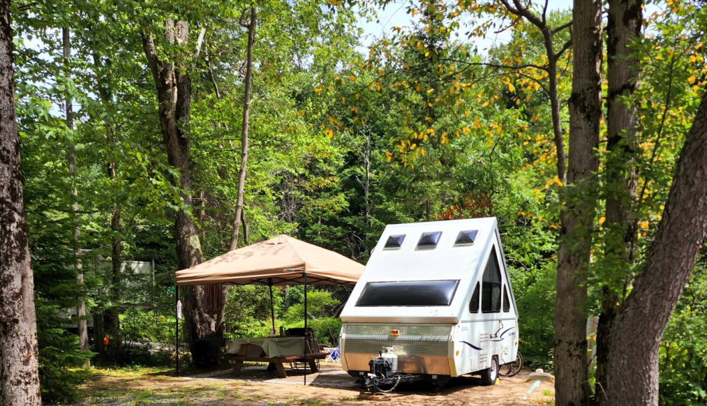 Back In - 30 amp FHU