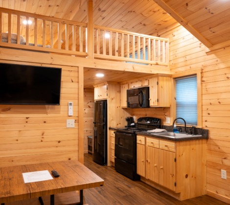 HTR Adirondacks Waterview deluxe one bedroom cabin with loft