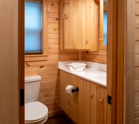 HTR Adirondacks Waterview deluxe one bedroom cabin with loft