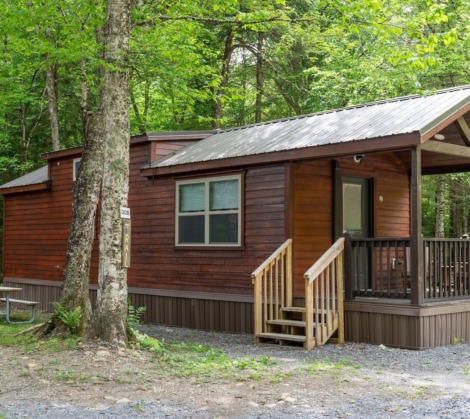HTR Adirondacks Waterview deluxe one bedroom cabin with loft