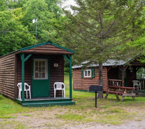 HTR Adirondacks Rustic Cabin