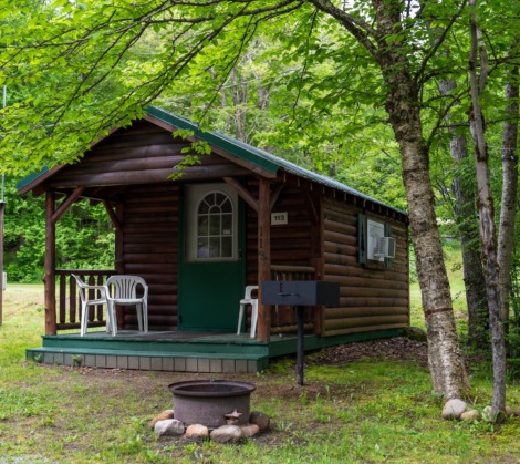 HTR Adirondacks Rustic Cabin