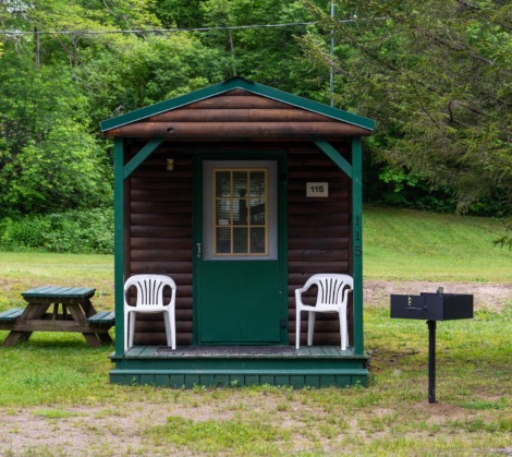 HTR Adirondacks Rustic Cabin