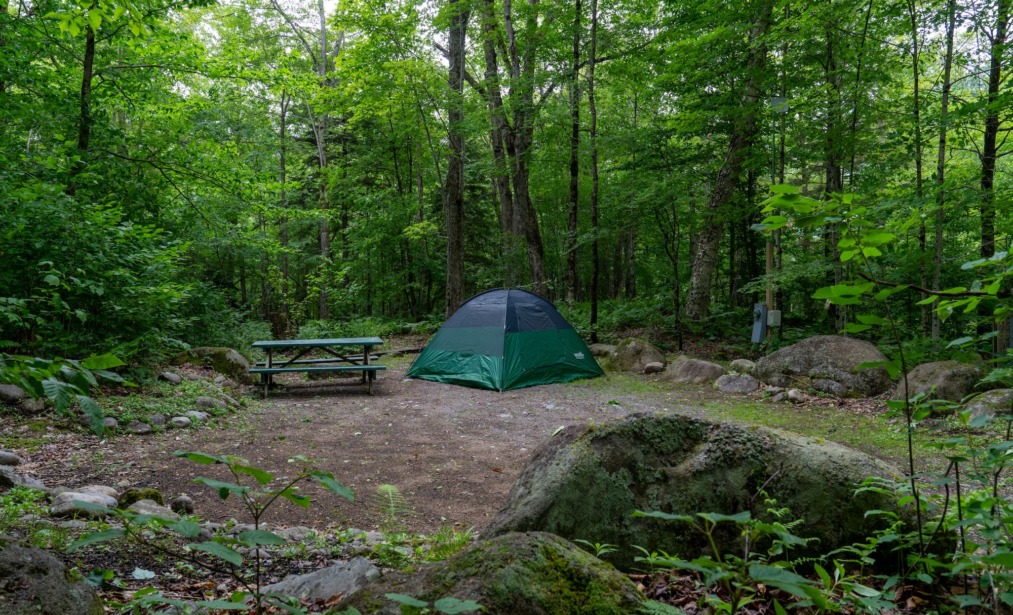 Water and Electric Tent Site
