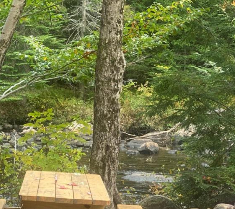 Old Forge - Tent Site