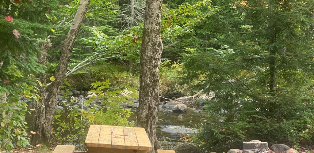 Old Forge - Tent Site