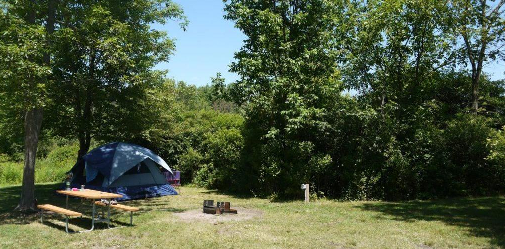 Tent Site with Electric