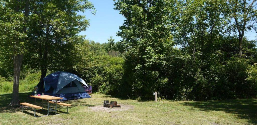 Niagara - Tent Site with Electric