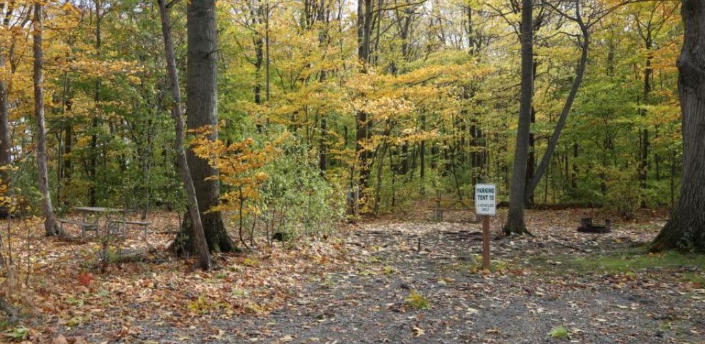 Niagara - Tent Site with Electric