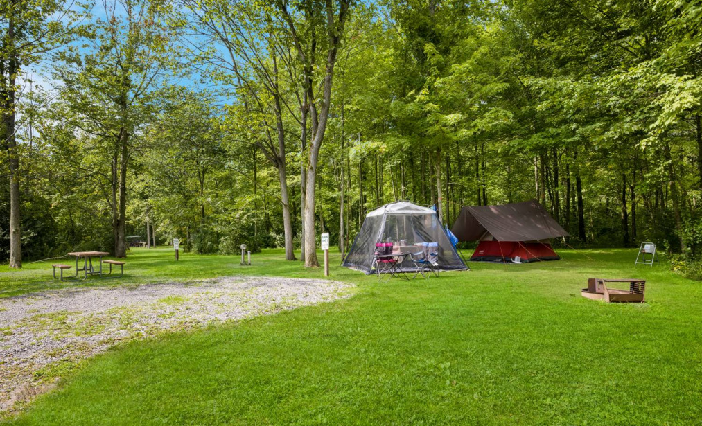 Tent Site with Electric