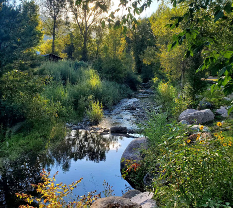 Lightner Creek scenery