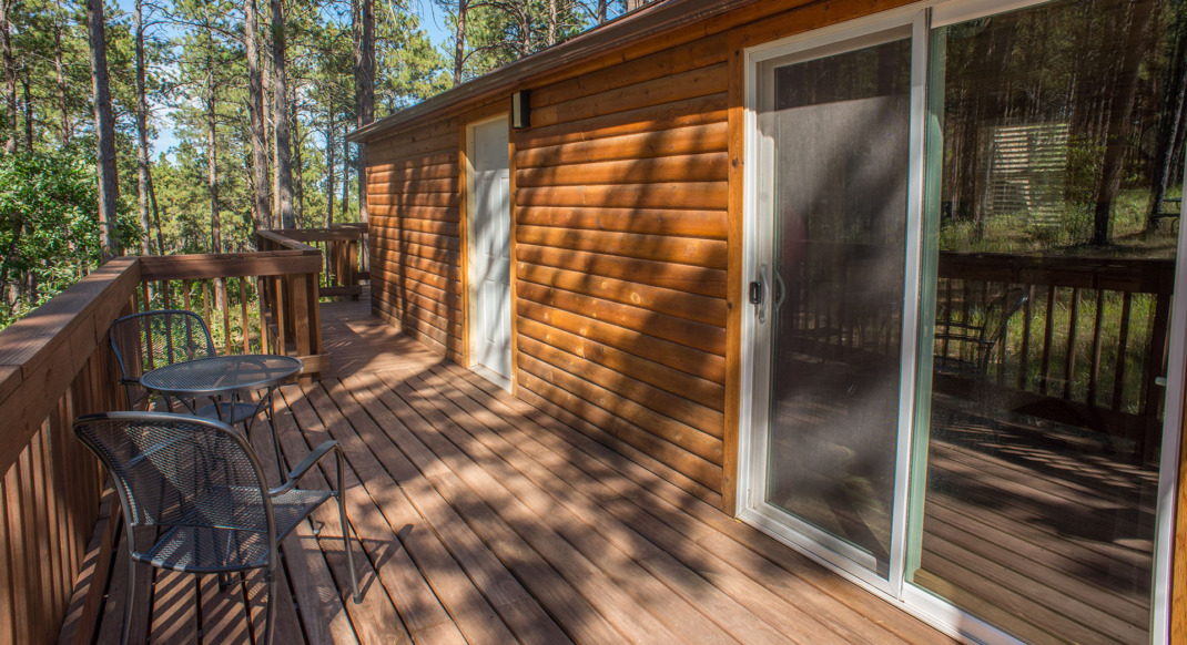 black hills forest view cabin