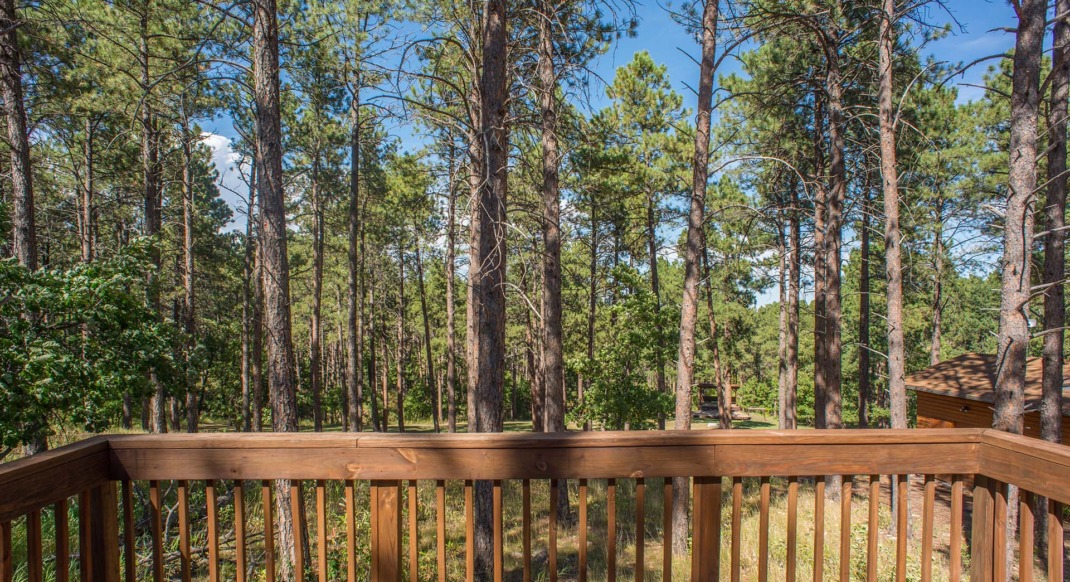black hills forest view cabin