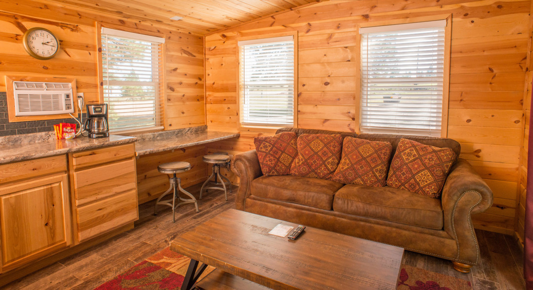 black hills forest view cabin