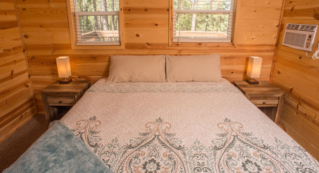 black hills forest view cabin