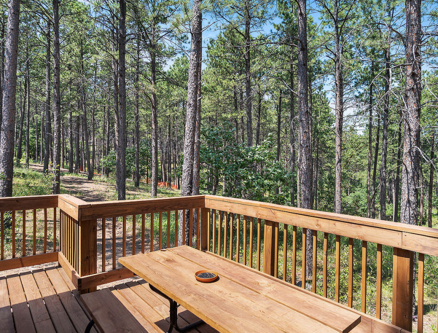 american buffalo - 2/4 person forest view cabin (g20)
