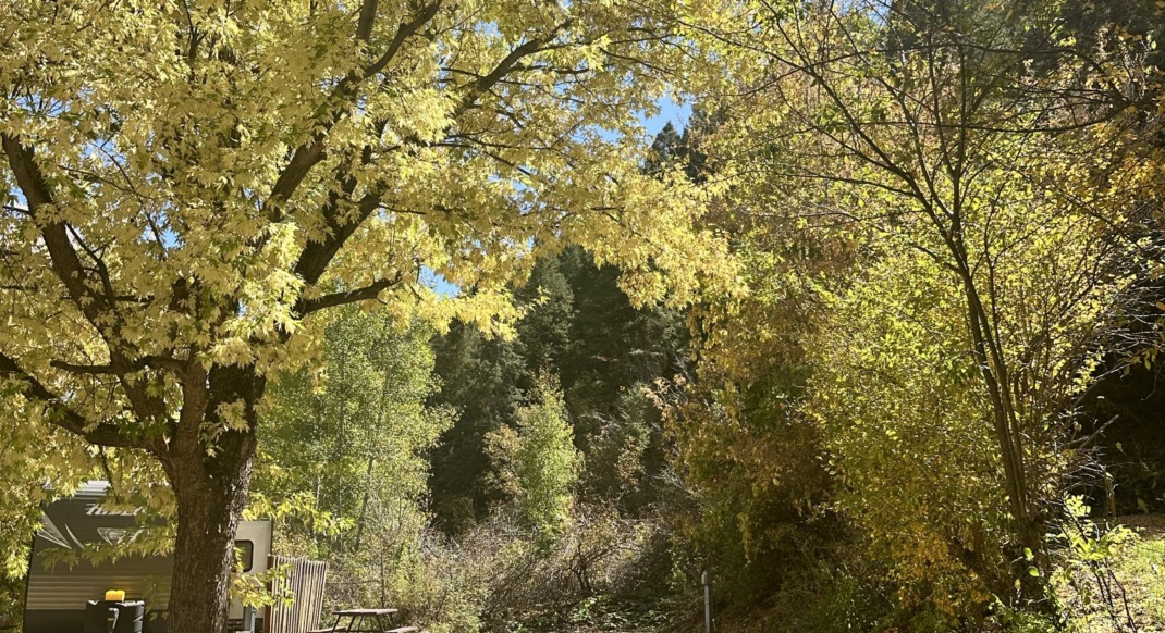 Full Hook Up Canyon Site HTR Durango CO.