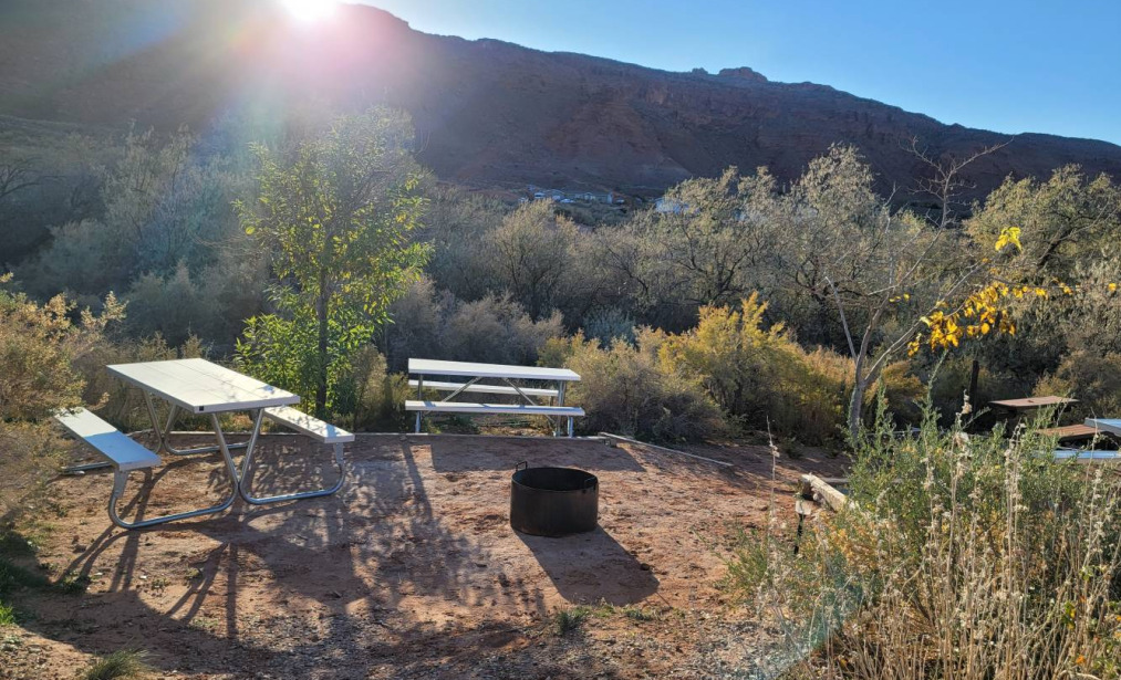Primitive Tent Site