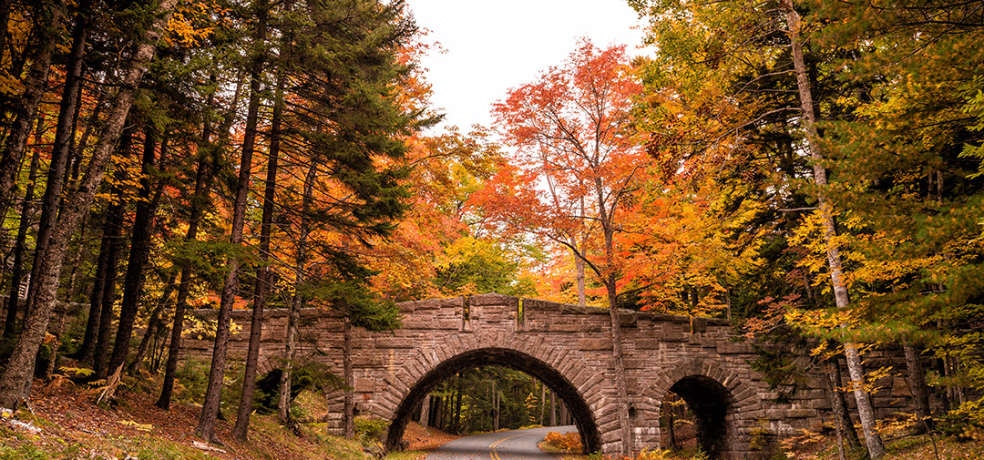 leaf peeping