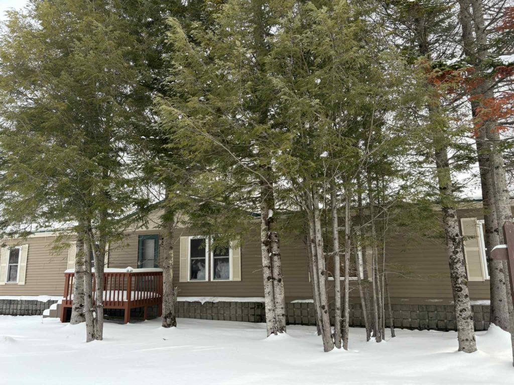 Moose River Lodge winter rental at HTR Adirondacks in Old Forge, NY, with deck and snow-covered pines