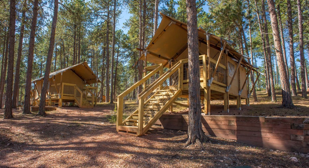 black hills safari tent campsite