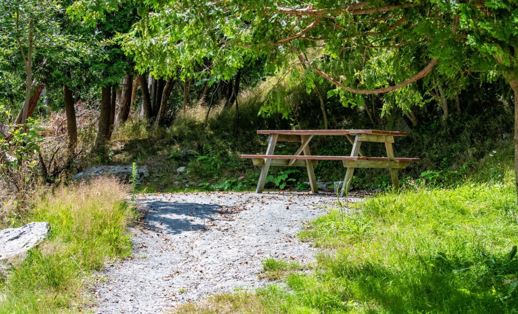 Interior Rustic Water Only Tent Site