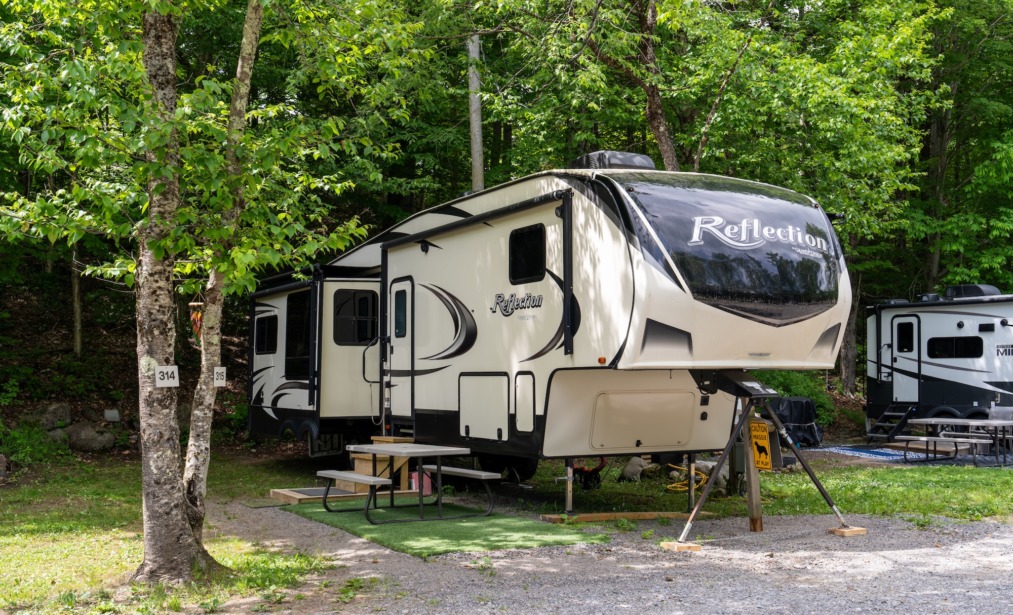 Back In - 50 amp FHU