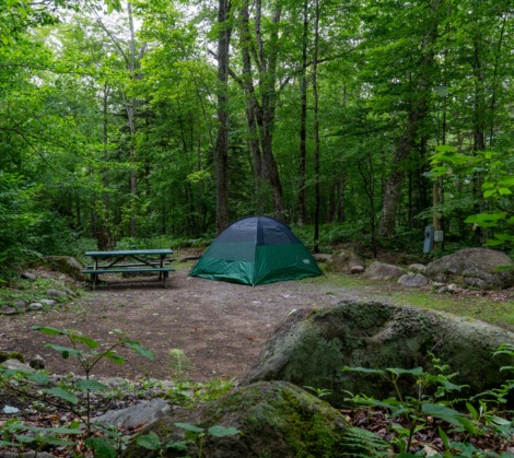 adirondacks tent site