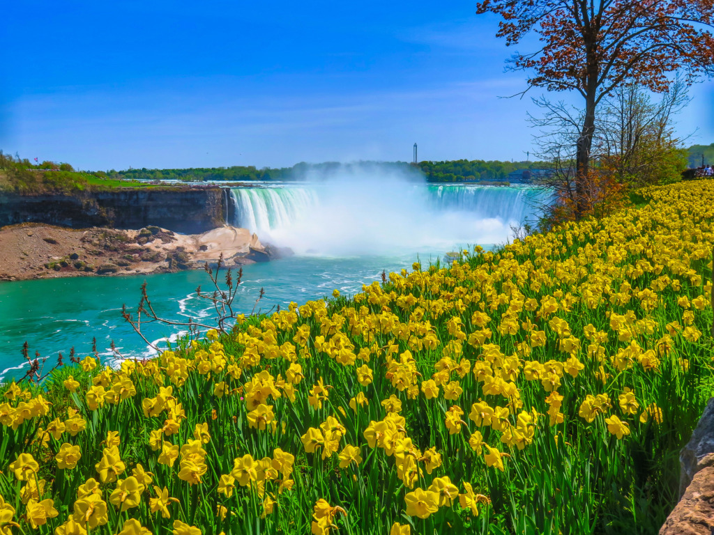 spring niagara falls