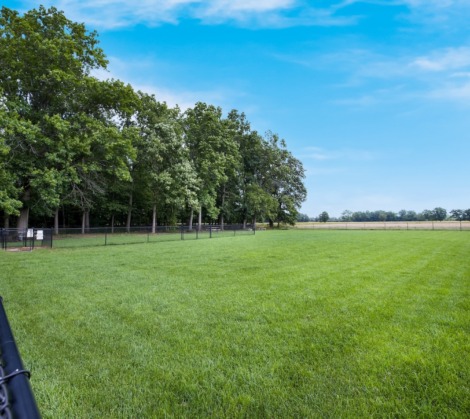 HTR Niagara Dog Park
